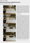Dietl, Marie-Luise (2006): Hannes malt einen Apfelschimmel – die detaillierte Analyse einer Bildentstehung